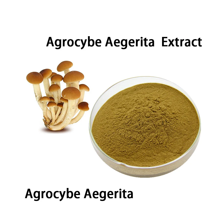 High Quality Agrocybe Aegerita Mushroom Extract Powder Buy Agrocybe