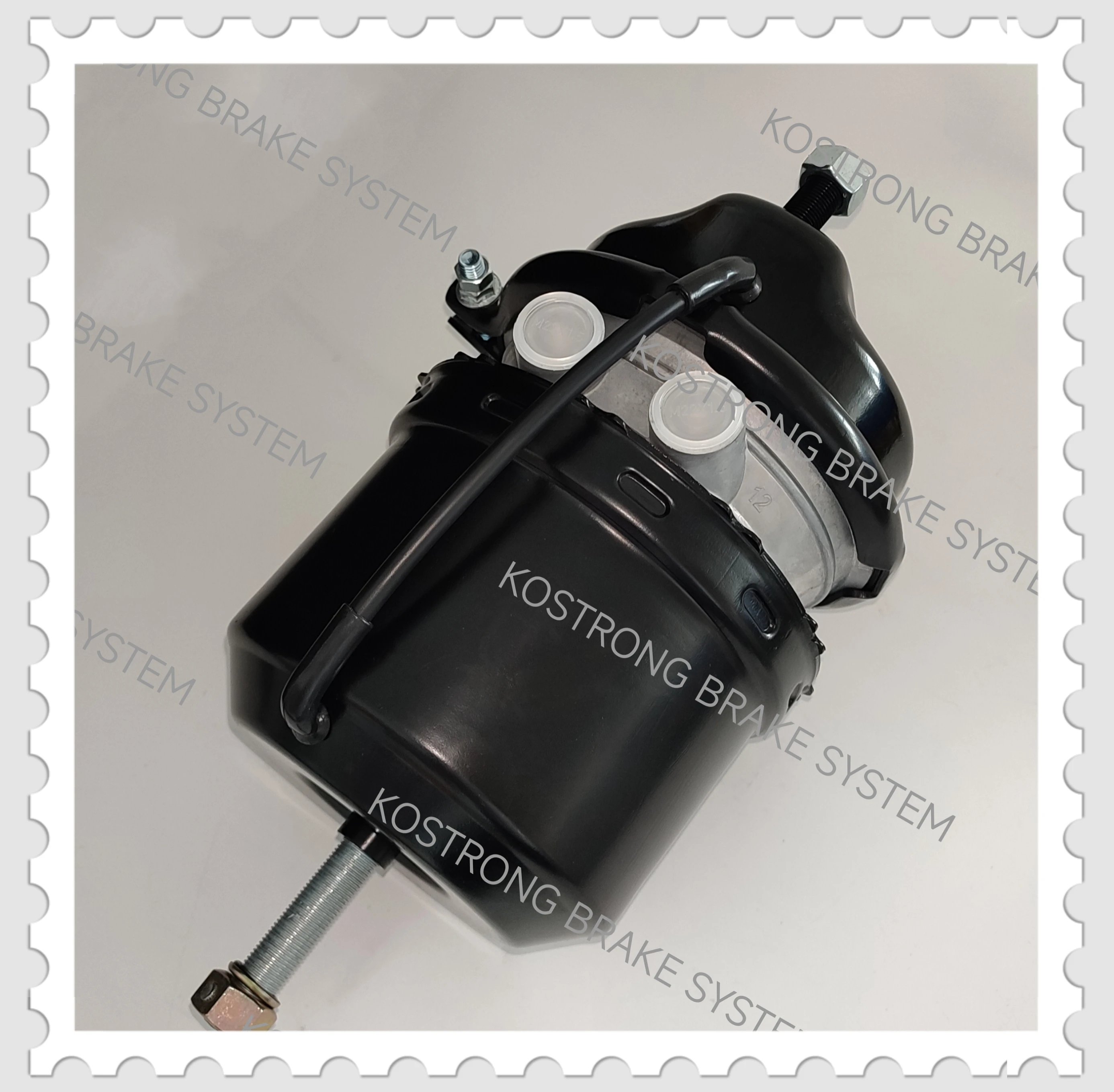 大至急　CRONOS クロノス スペシャルボックス Mサイズ CRONOS クリスマスボックス Sサイズ