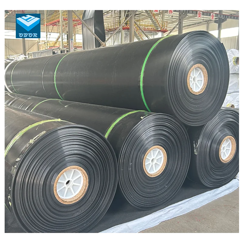 Factory 1mm 1.5mm HDPE 40 MILs Geomembrane