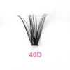 40D
