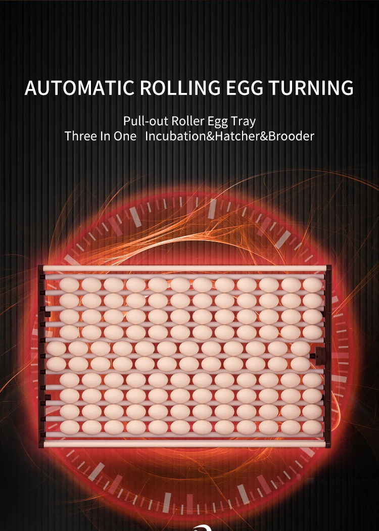 Cheap Solar Power Fully Automatic Chicken Egg Incubator Hatchery Machine 1000 Eggs Incubator