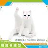 PL127-2825 Lift pied chat blanc 93g