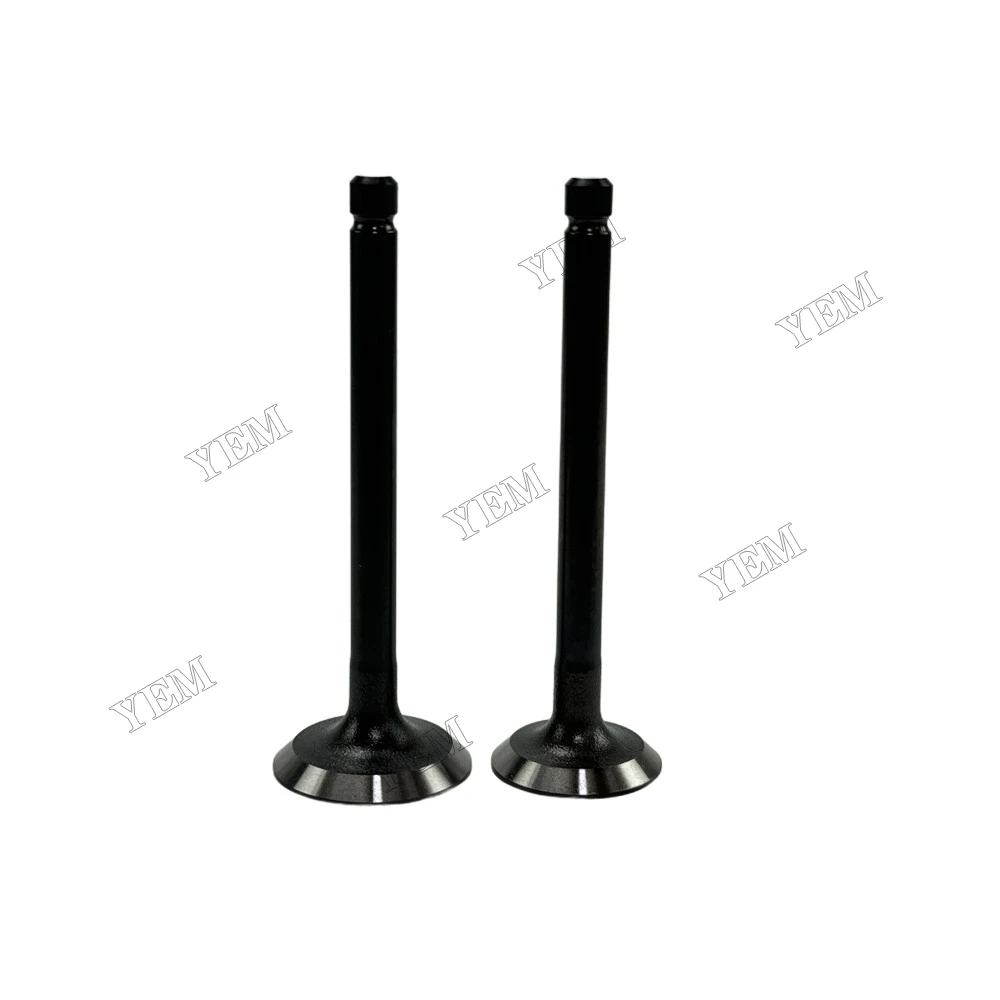 Intake and Exhaust Valve Fit for Kubota D782 Engine 3