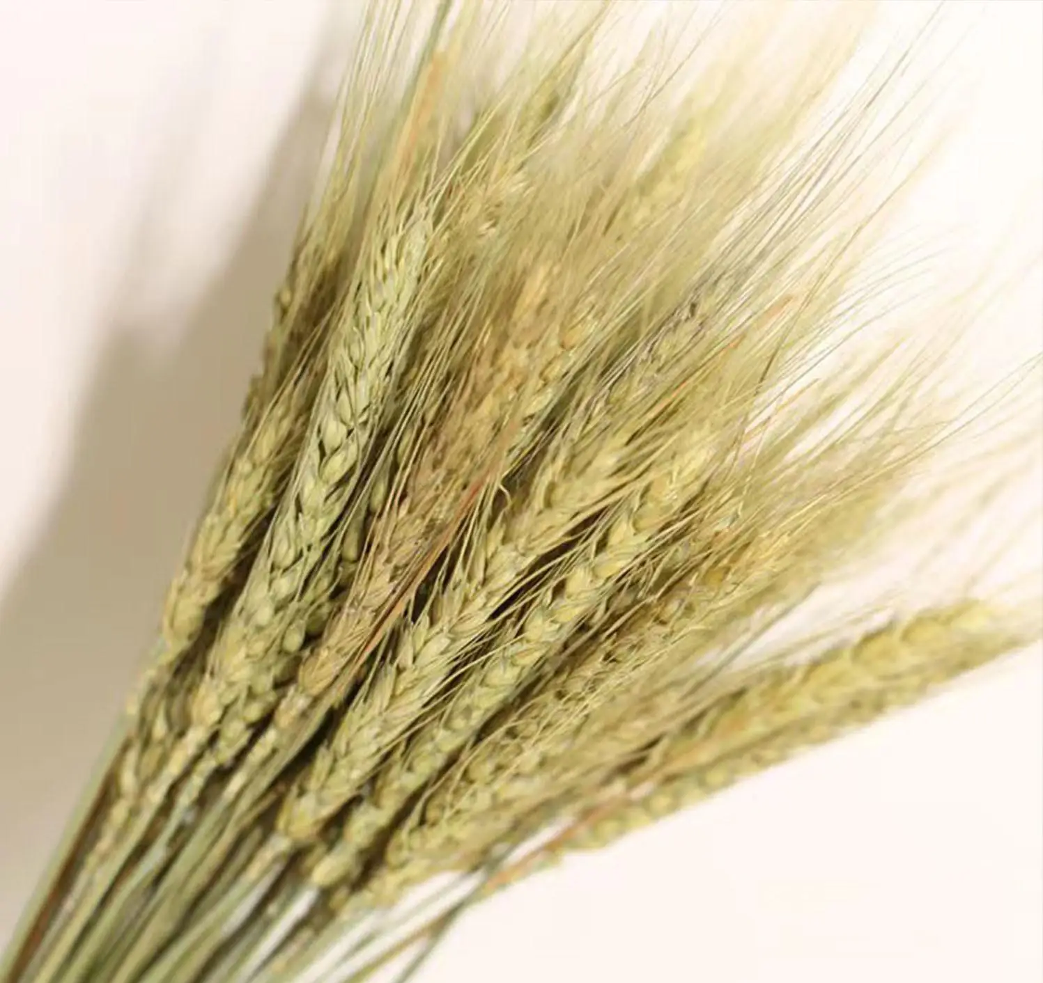 DIY Craft Home Table Artificial Dried Wheat Sheaves Natural Wheat Stalks Bundle Fall Arrangement Wedding Decor