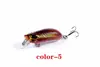 Colore 5
