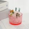 Taza individual rosa con cristal y flor seca.