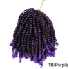 #1B/Purple
