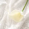 Creamy white