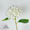 1 # blanco
