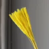 Amarillo