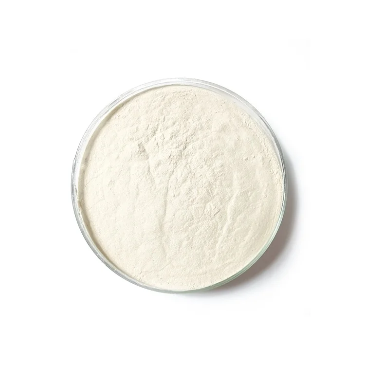 Animal Feed Grade Probiotics Enterococcus Faecium Powder Additives in China