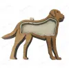 Chien brun