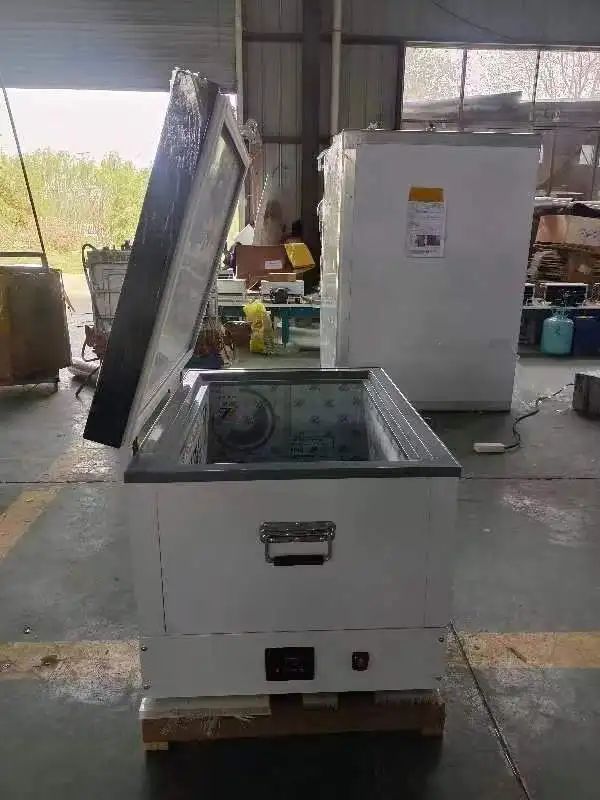 70L Big Capacity Auto Fridge Electric Cooler Box Refrigerator Outdoor Portable Fridge Freezer Car Fridges with New Compressor