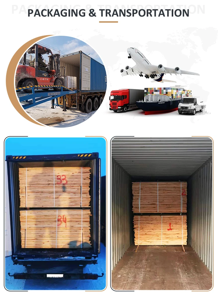 transport_06.jpg