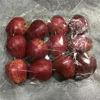 Frutto di serpente rosso