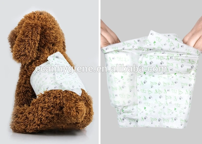 pet diaper 1 (7).jpg