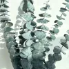 C2