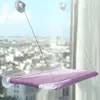 Pourpre