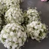 Bianco 01