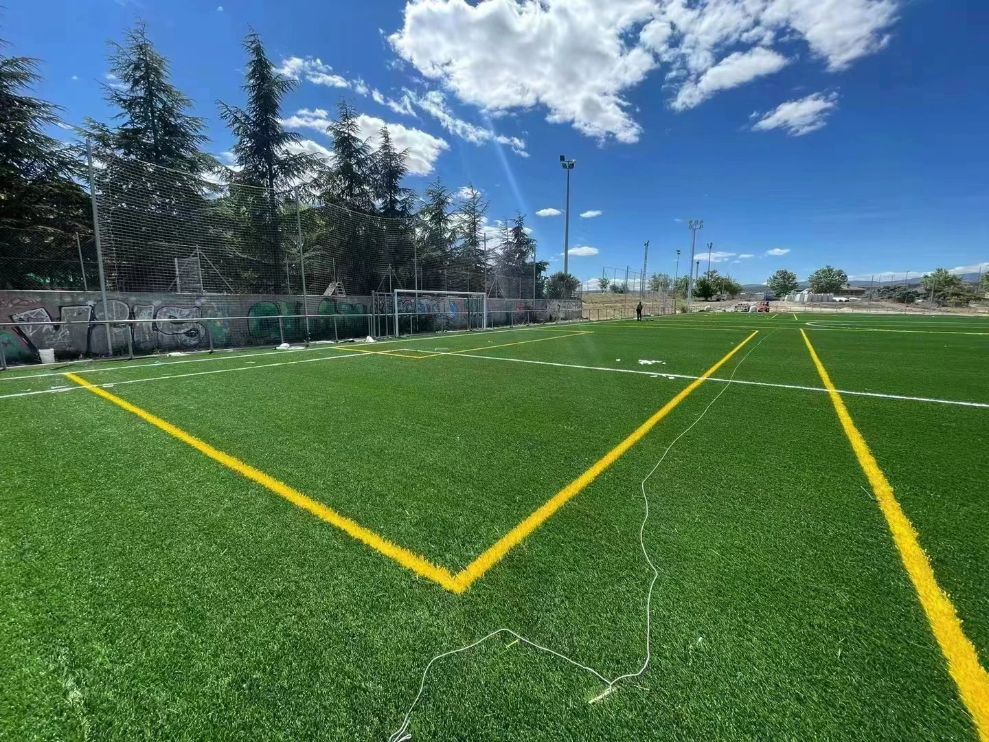 Landscaping Outdoor Play Grass Carpet Natural Grass For Garden Indoor