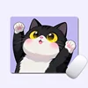 Gato gordito 0380