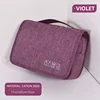 Cation Violet