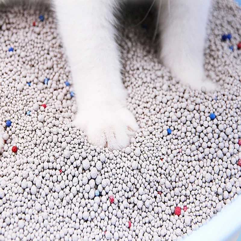 Cats Litters Hot Selling Bentonite Cat Sand Litter Free Sample Buy