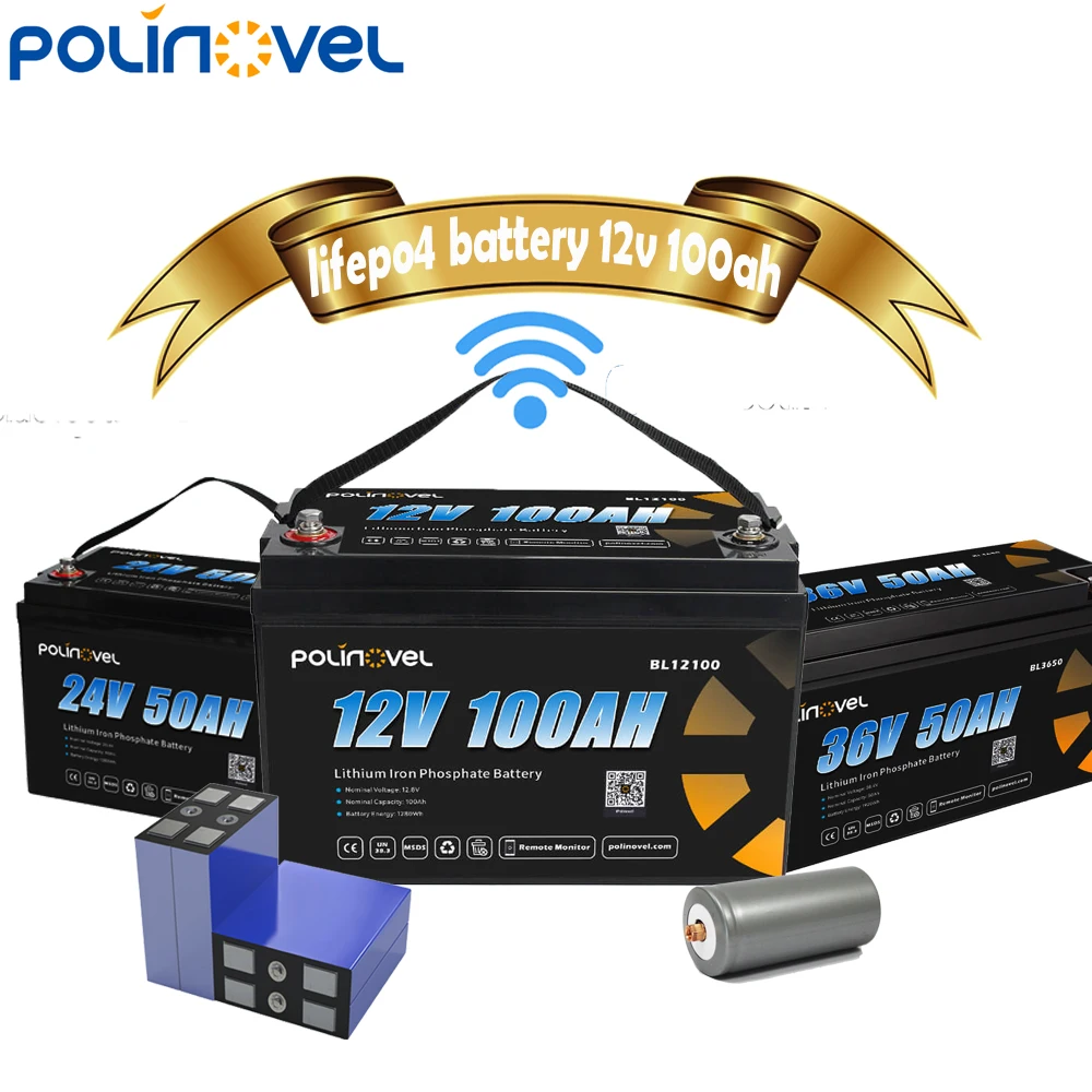 Baterias De Litio 12v 24 Volt 100ah Solar Lifepo4 Battery Energi