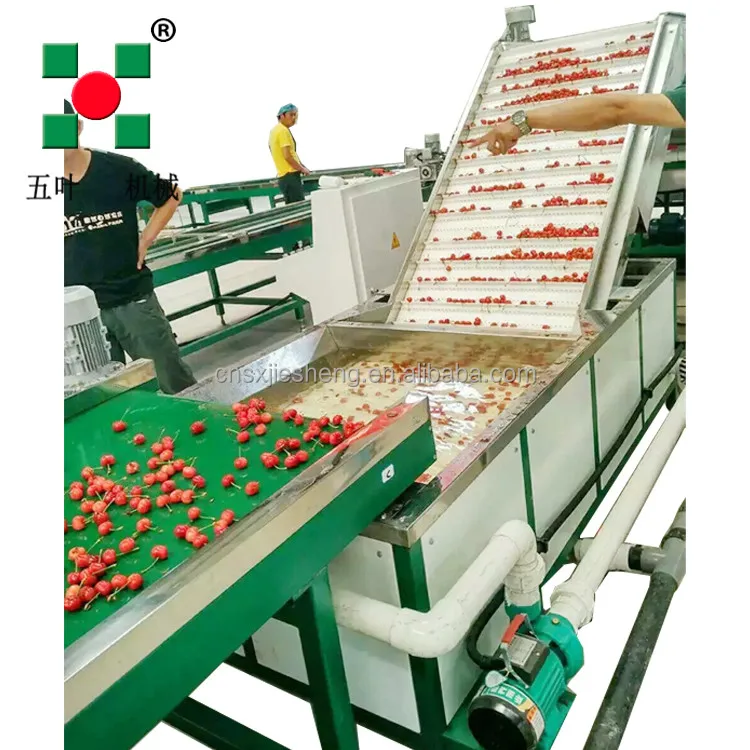 Blast Freezer, IQF, Customizable, R-404A - detail 64