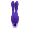 Viola