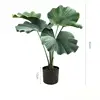 Tropical rolled palm tree