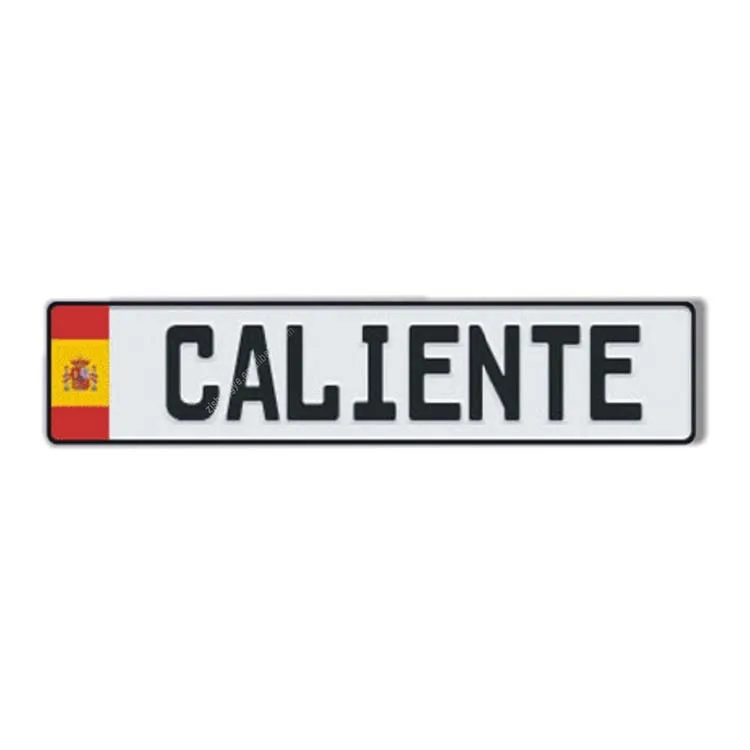 Custom European Embossed Reflective Russian Car Hidden License Plate