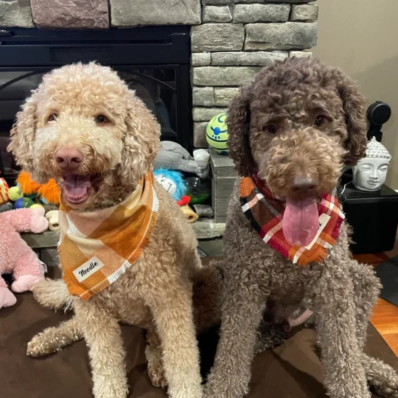 Big Brother Dog Bandana Custom Puppy Bandanas Pet Dog Scarf Fall Plaid