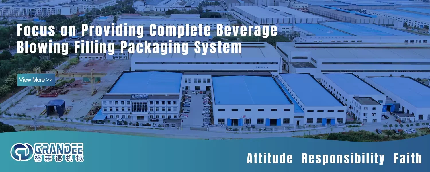Company overview