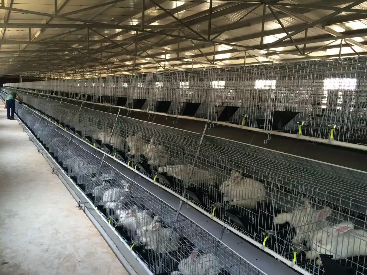 No Feces Cleaning Rabbit Cages Commercial Rabbit Cage Commercial