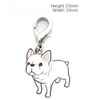 French Bull Dog White color