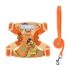 Orange Dinosau
