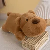 Brown bear