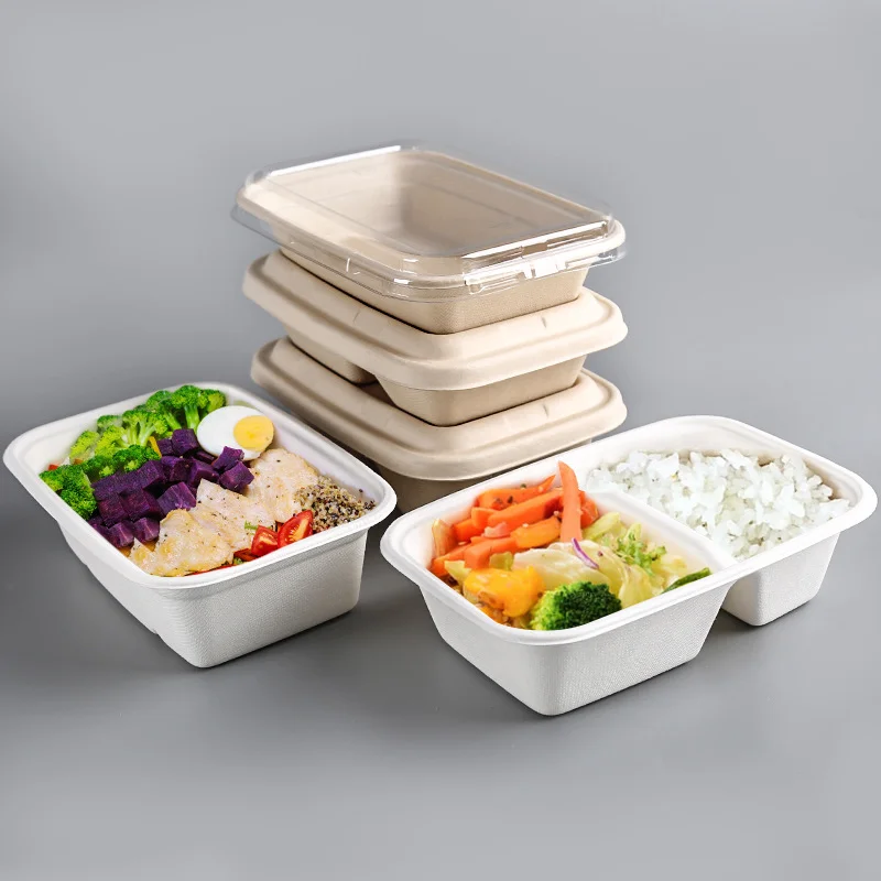 Custom Biodegradable Sugar Cane Bagasse Pastry Cake Container Eco ...