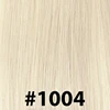 #1004