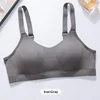 Gris hierro