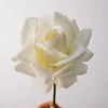 Cream yellow