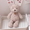 Orso cachi