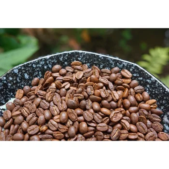 Arabica Catimor S16 Cau Dat Top Quality Coffee Bean Tasty Cheap Price Low MOQ Hot Selling Wholesale Private Label