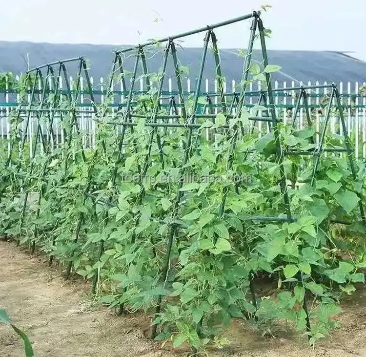 Climbing Frame, Plastic-coated Steel Pipe Bracket Pole, Household Plant ...