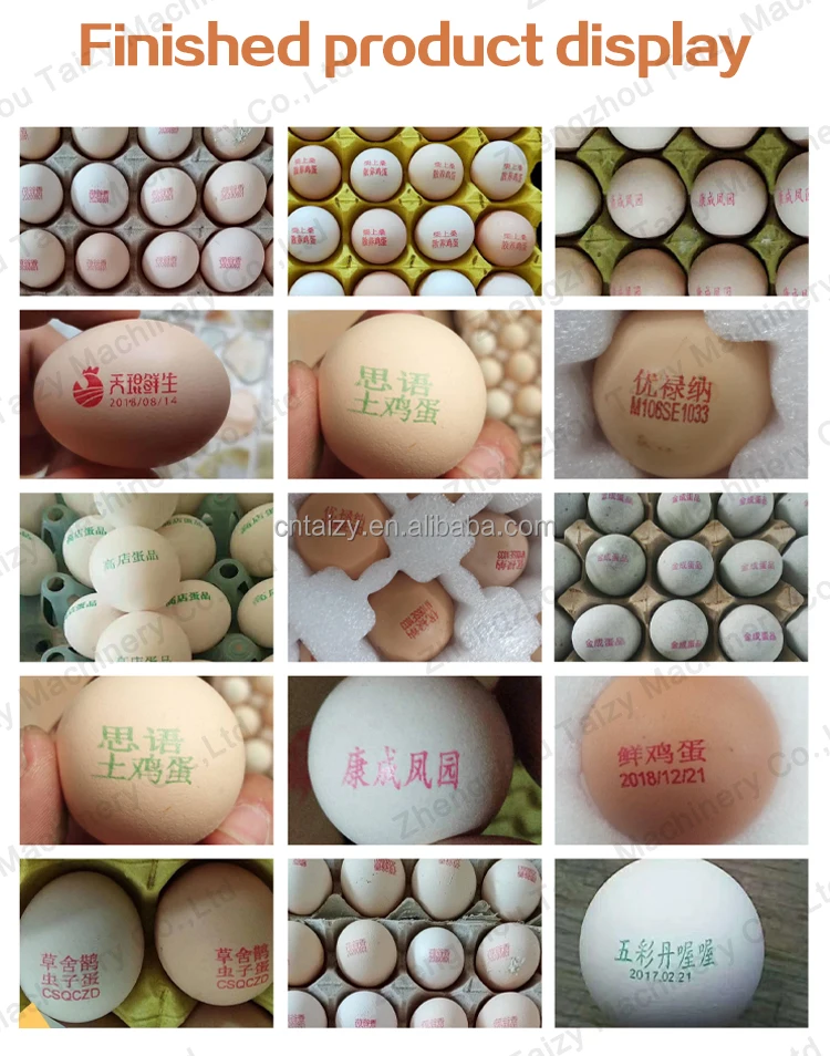 Printing Machines on Eggs Egg Date Printer Egg Stamping Machine