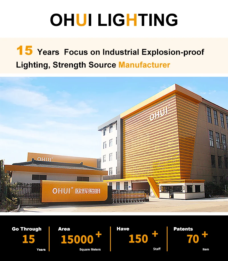 Industrial Heating Equipment, 160W, 200W, 240W, ATEX - detail 16