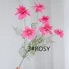 Rosy