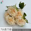 7-headed carnations XC champagne color