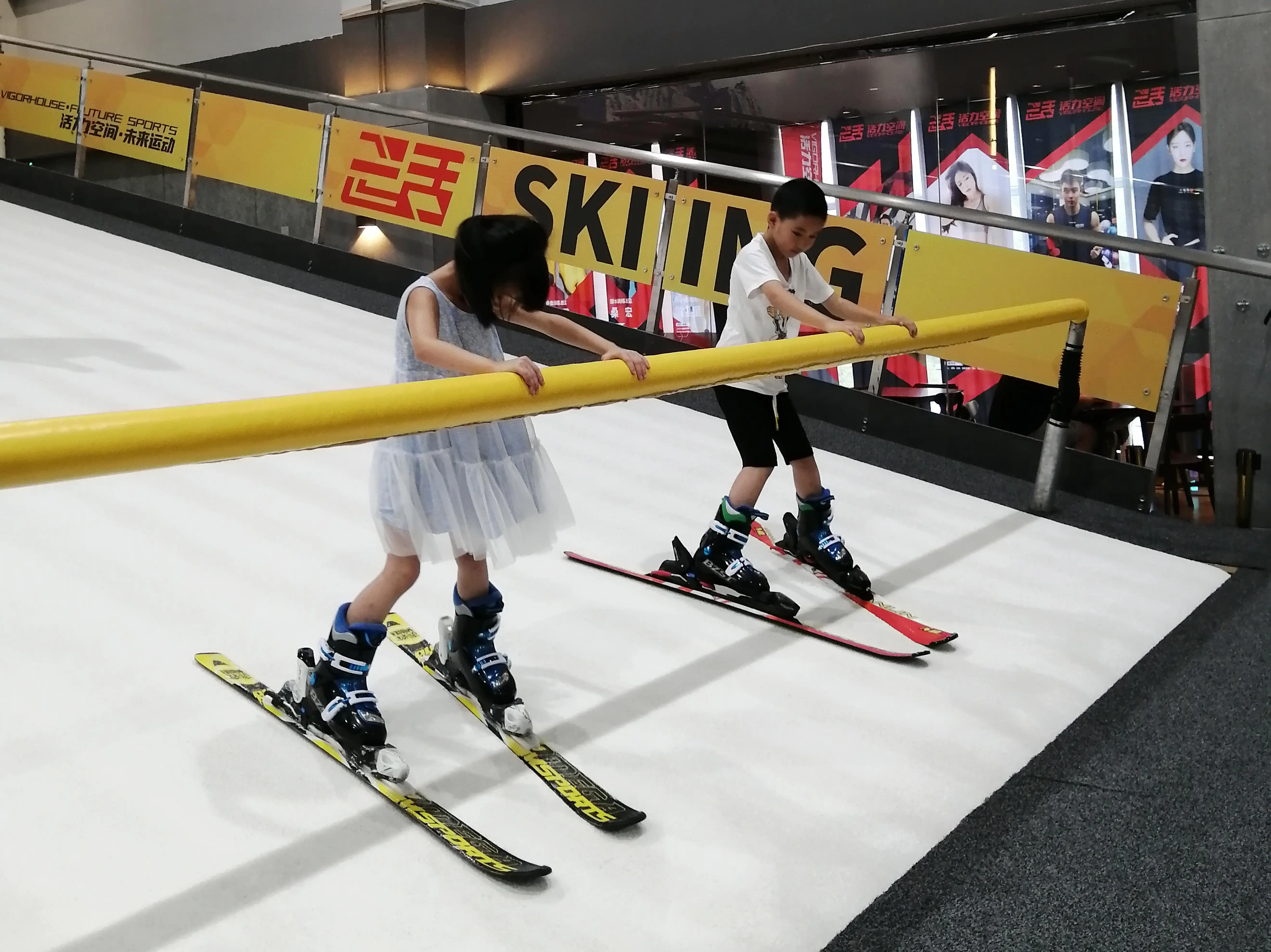 Simulateur De Ski Et Plateforme Fitness 2-en-1 – Entrainement Complet, Cardio Et Renforcement